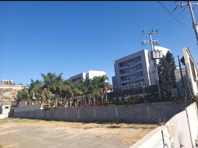 #87 - Área para Venta en Tijuana - BC - 2