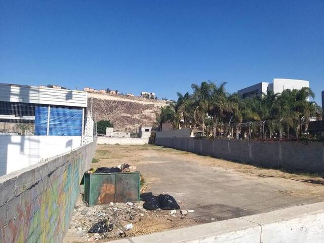 #87 - Área para Venta en Tijuana - BC - 1