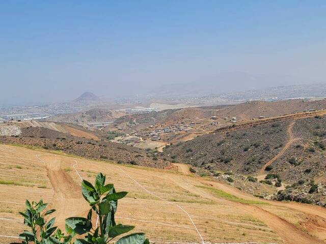 #106 - Área para Venta en Tijuana - BC - 3