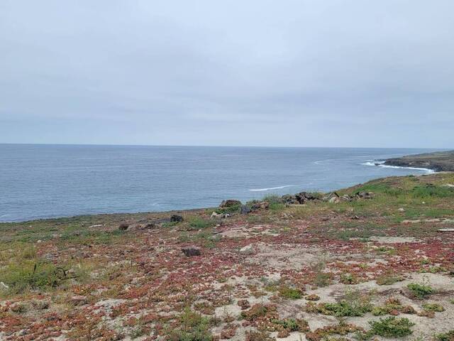 #115 - Área para Venta en Ensenada - BC