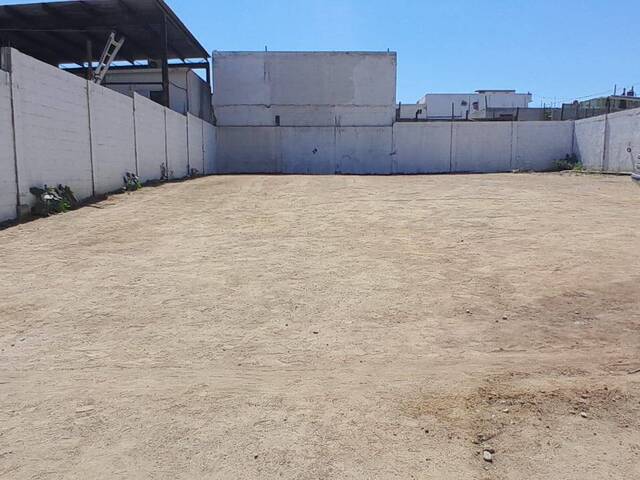 #118 - Área para Venta en Tijuana - BC - 1