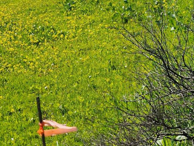 #146 - Área para Venta en Playas de Rosarito - BC - 3