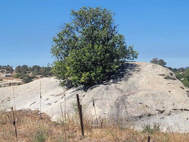 #160 - Área para Venta en Tecate - BC - 3