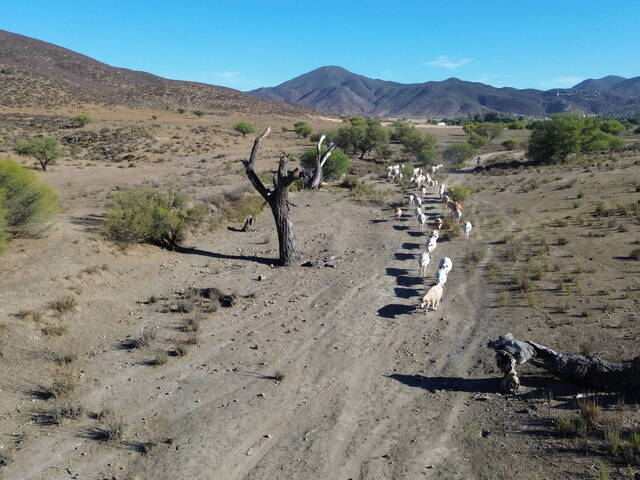 Área para Venta en Ensenada - 5